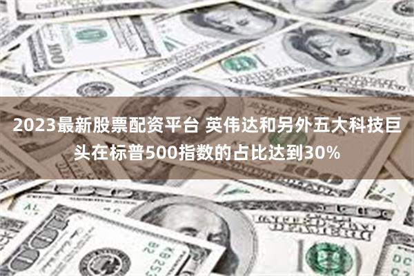 2023最新股票配资平台 英伟达和另外五大科技巨头在标普500指数的占比达到30%