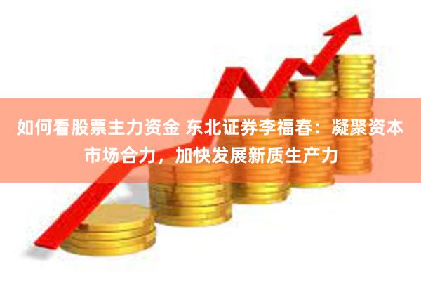 如何看股票主力资金 东北证券李福春：凝聚资本市场合力，加快发展新质生产力