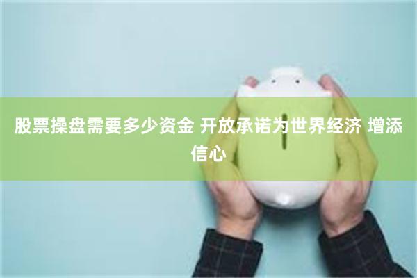 股票操盘需要多少资金 开放承诺为世界经济 增添信心