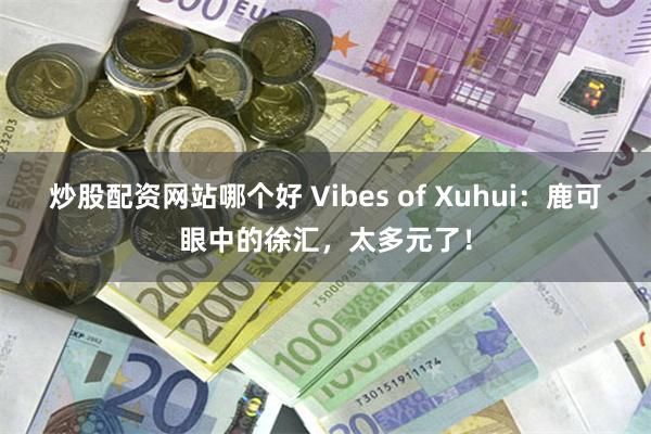 炒股配资网站哪个好 Vibes of Xuhui：鹿可眼中的徐汇，太多元了！