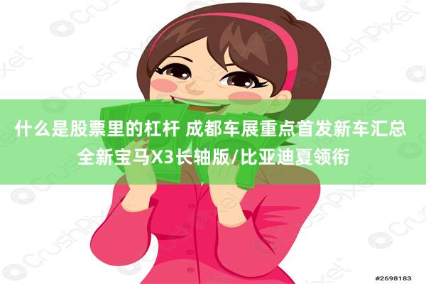 什么是股票里的杠杆 成都车展重点首发新车汇总 全新宝马X3长轴版/比亚迪夏领衔