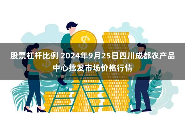 股票杠杆比例 2024年9月25日四川成都农产品中心批发市场价格行情