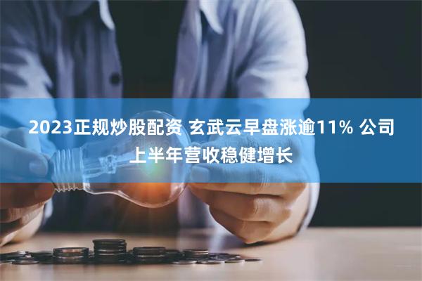 2023正规炒股配资 玄武云早盘涨逾11% 公司上半年营收稳健增长