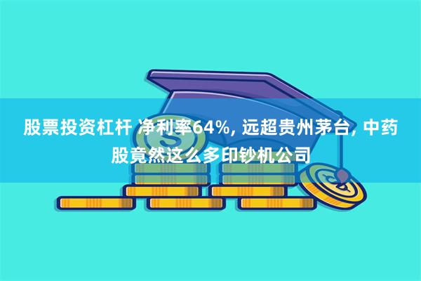 股票投资杠杆 净利率64%, 远超贵州茅台, 中药股竟然这么多印钞机公司