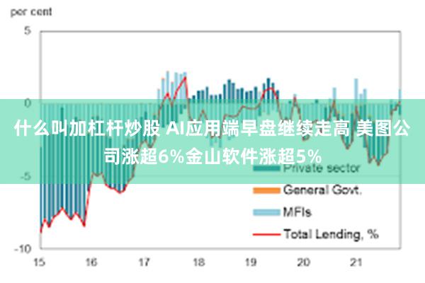 什么叫加杠杆炒股 AI应用端早盘继续走高 美图公司涨超6%金山软件涨超5%